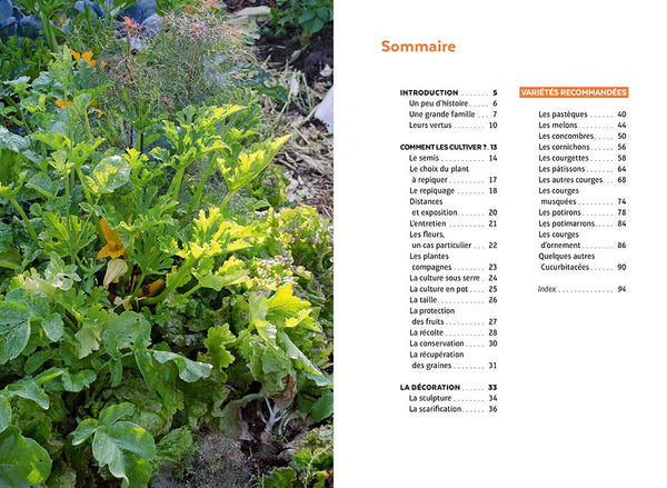 Courges, melons, concombres, etc. - Les cucurbitacées & comment les cultiver