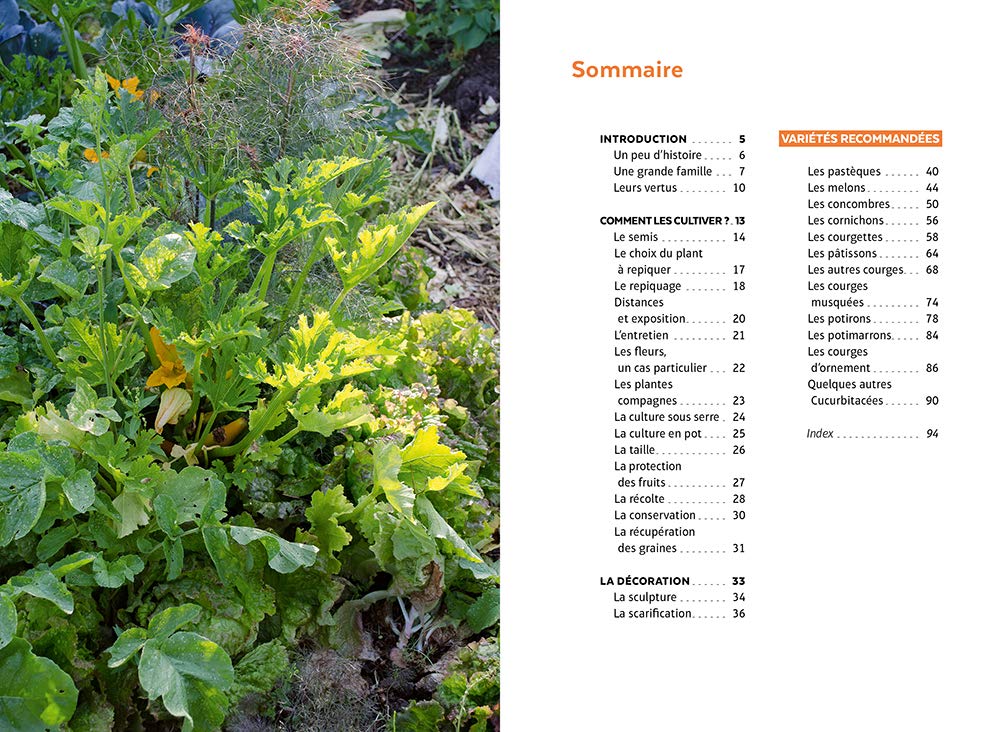 Courges, melons, concombres, etc. - Les cucurbitacées & comment les cultiver