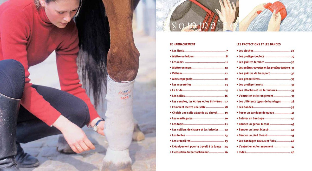 Harnachement et protections
