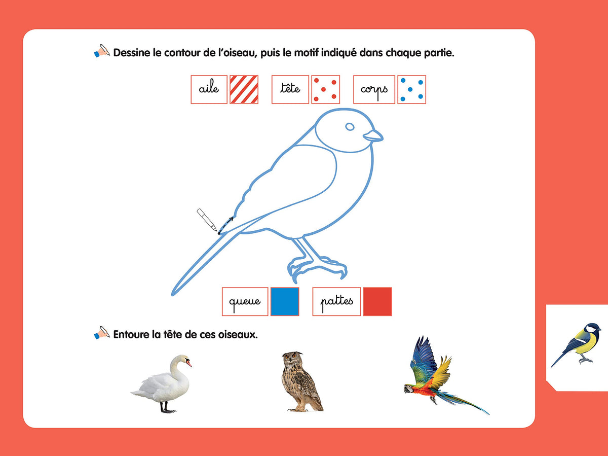 Les livres-ardoises - Je découvre les animaux Montessori
