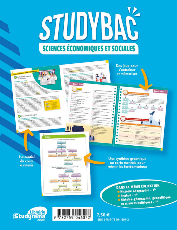 Sciences économiques et sociales - Terminale