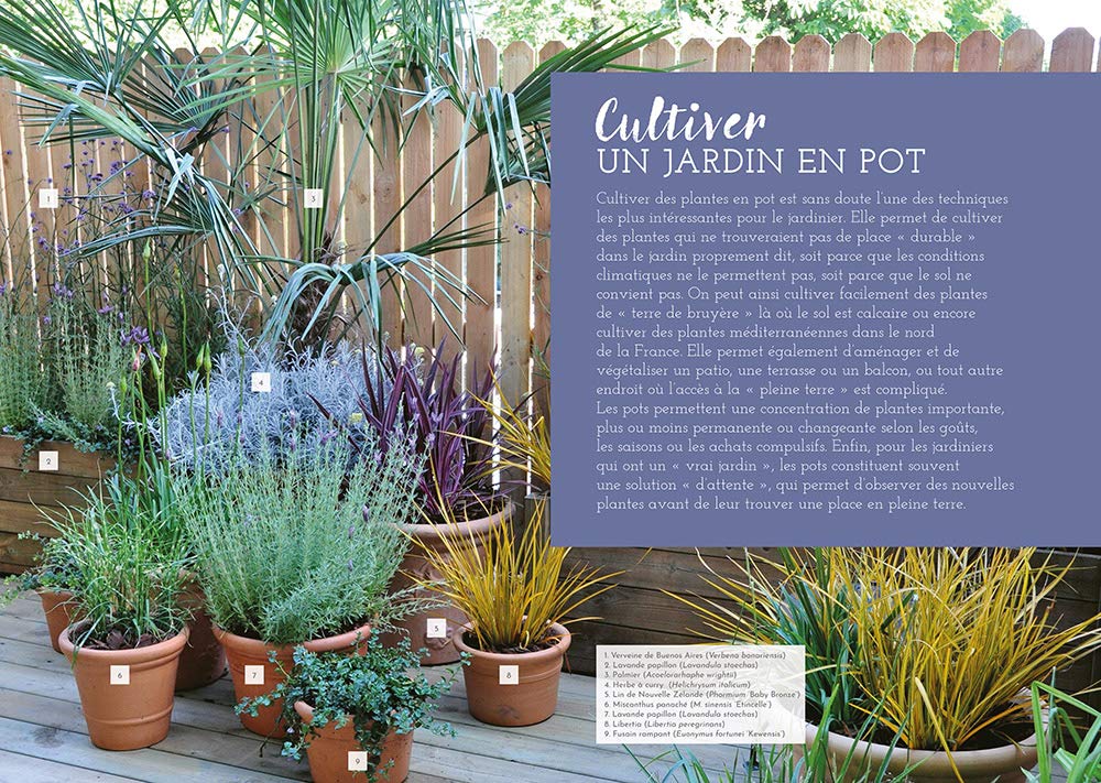 Cultiver en pot