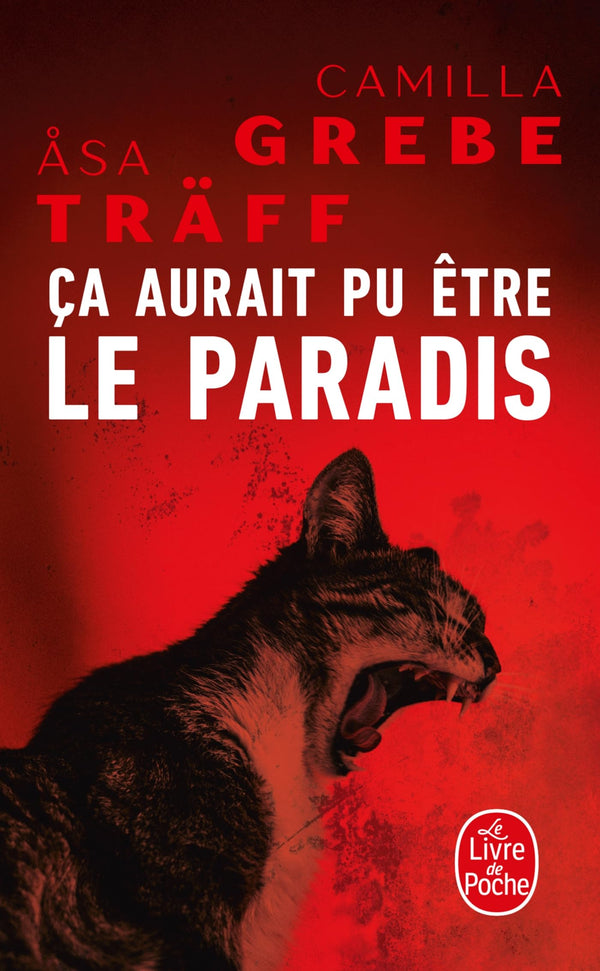 Ça aurait pu être le paradis (Siri Bergman, Tome 1)