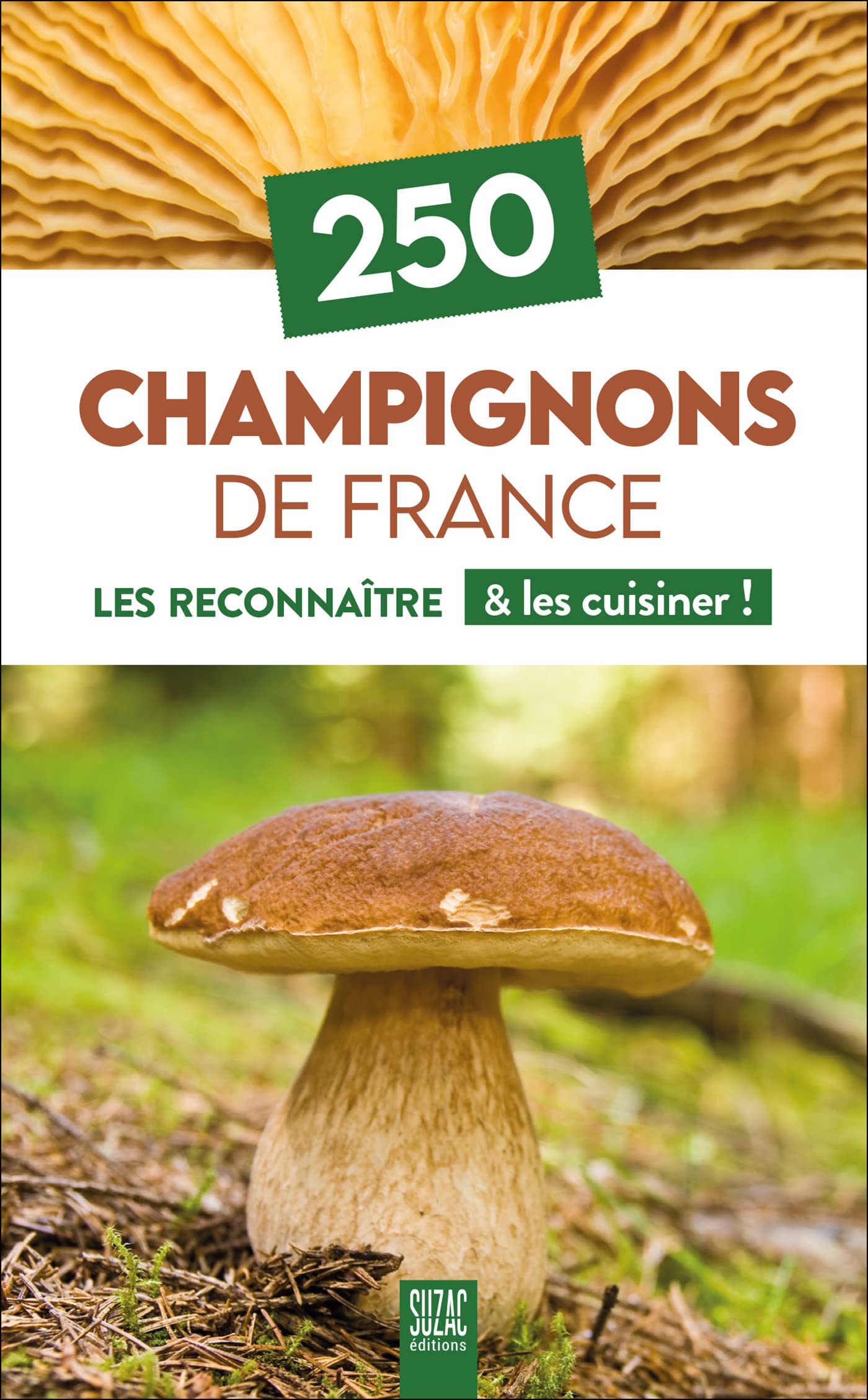 250 Champignons de France: Les reconnaître & les cuisiner !