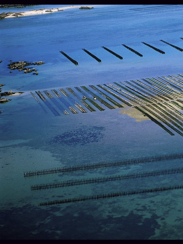 Peuples des mers