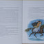 Contes des Vikings