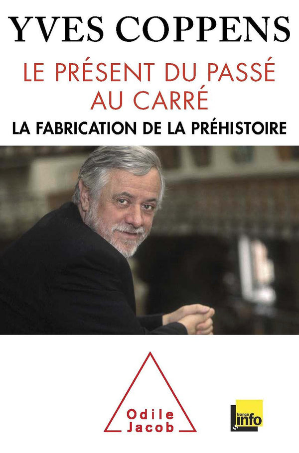 Le Présent du passé au carré: La fabrication de la préhistoire