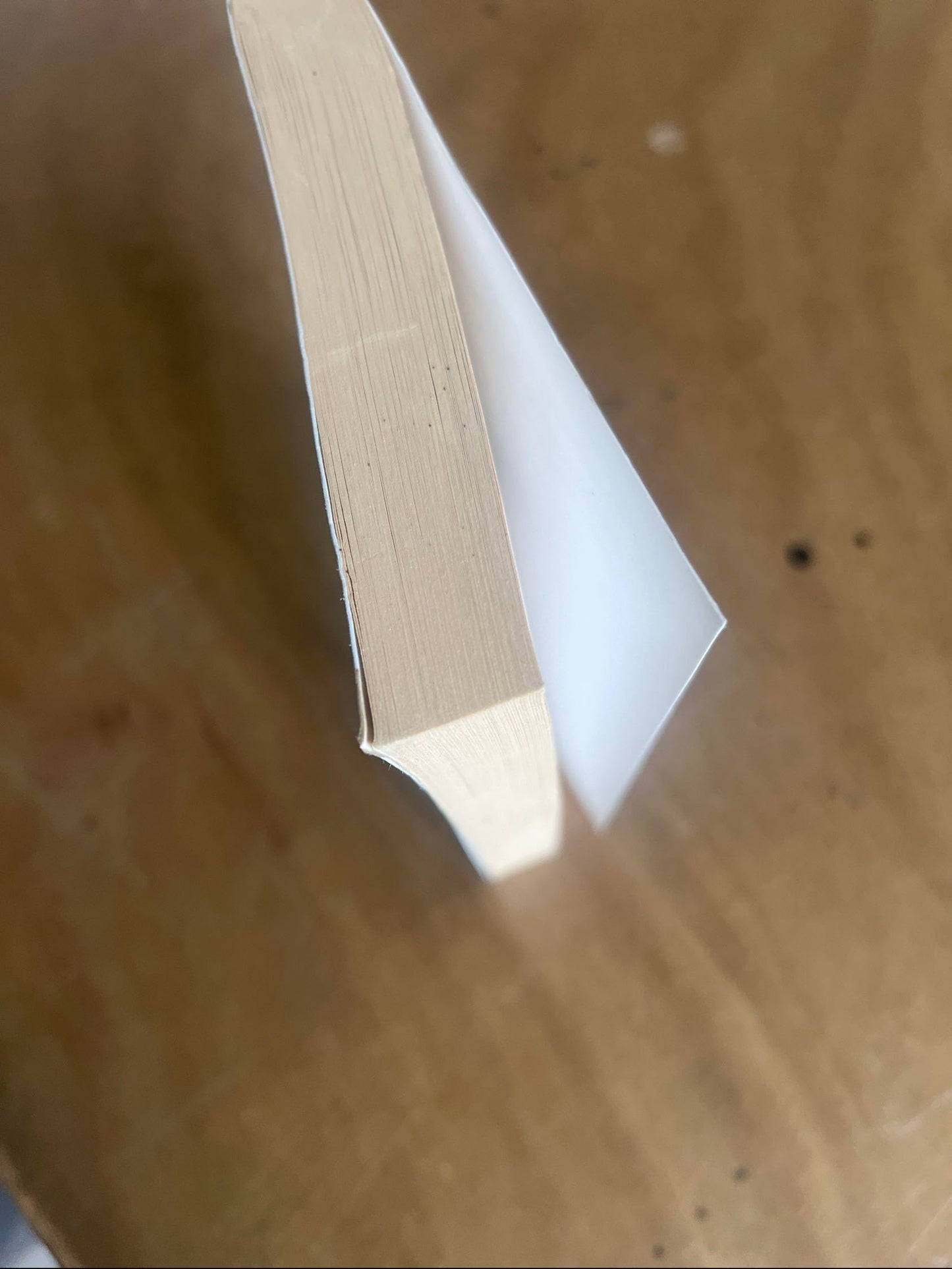 Philosophie de la maison
