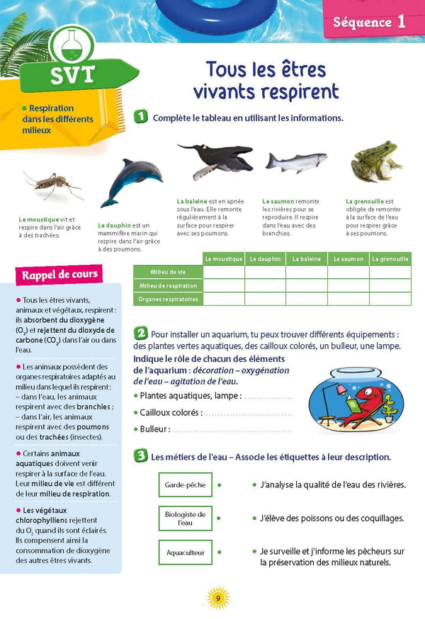 Cahier de vacances 2025, de la 5e vers la 4e: Magnard, l'inventeur des cahiers de vacances