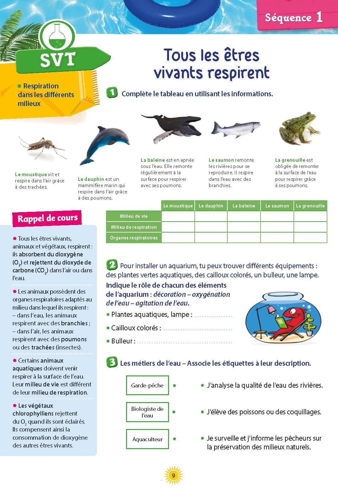 Cahier de vacances 2025, de la 5e vers la 4e: Magnard, l'inventeur des cahiers de vacances