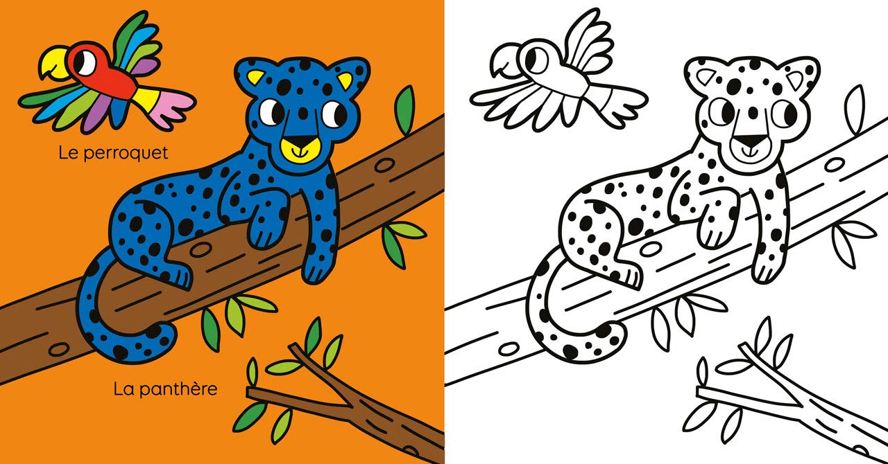 L'imagier des animaux à colorier