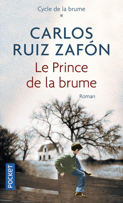 Le Prince de la brume (1)