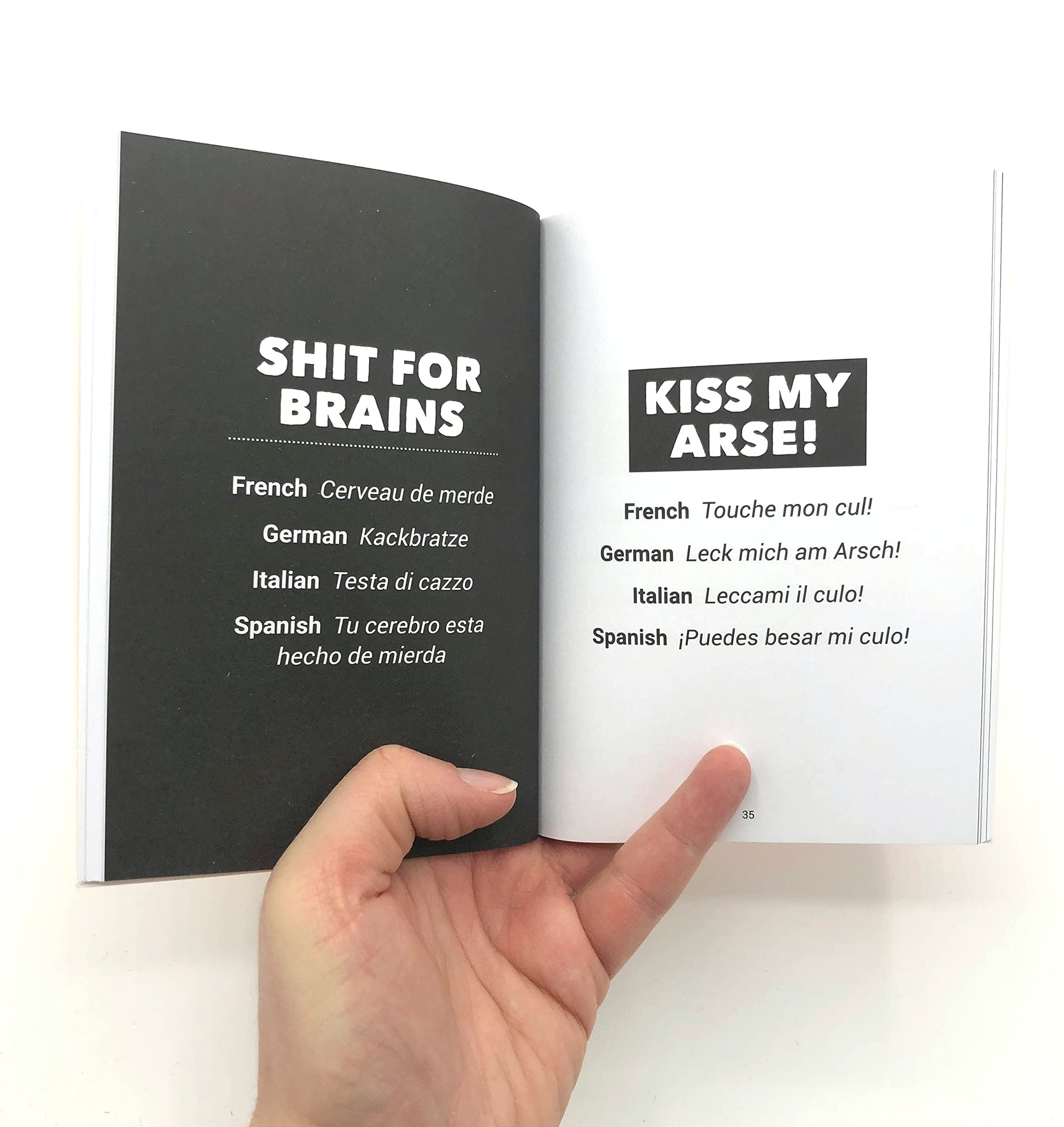 The Little Book of Foreign Swear Words