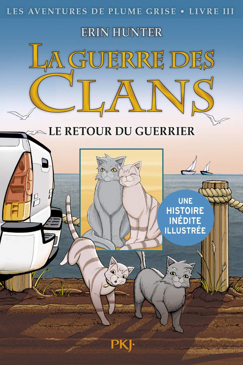 La guerre des Clans - Bande dessinée - cycle I - Les aventures de Plume Grise - tome 03 : Le retour du guerrier (3)