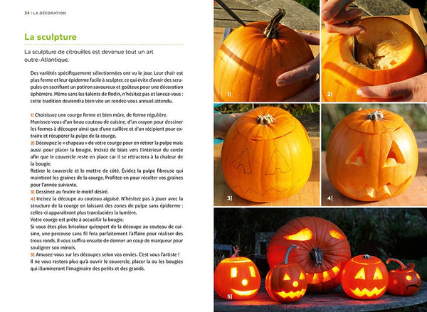 Courges, melons, concombres, etc. - Les cucurbitacées & comment les cultiver