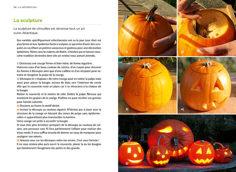 Courges, melons, concombres, etc. - Les cucurbitacées & comment les cultiver