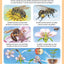 L'imagerie de la nature