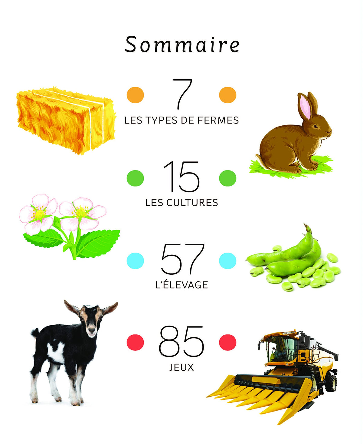 L'imagerie - La ferme