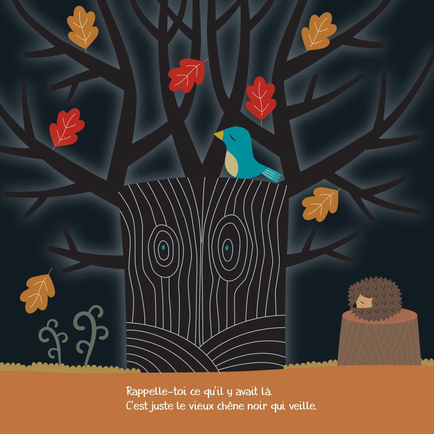 Qu'est-ce que c'est ?: Amuse-toi à reconnaitre les ombres