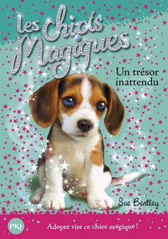 Les chiots magiques - tome 14 : Un trésor innatendu (14)