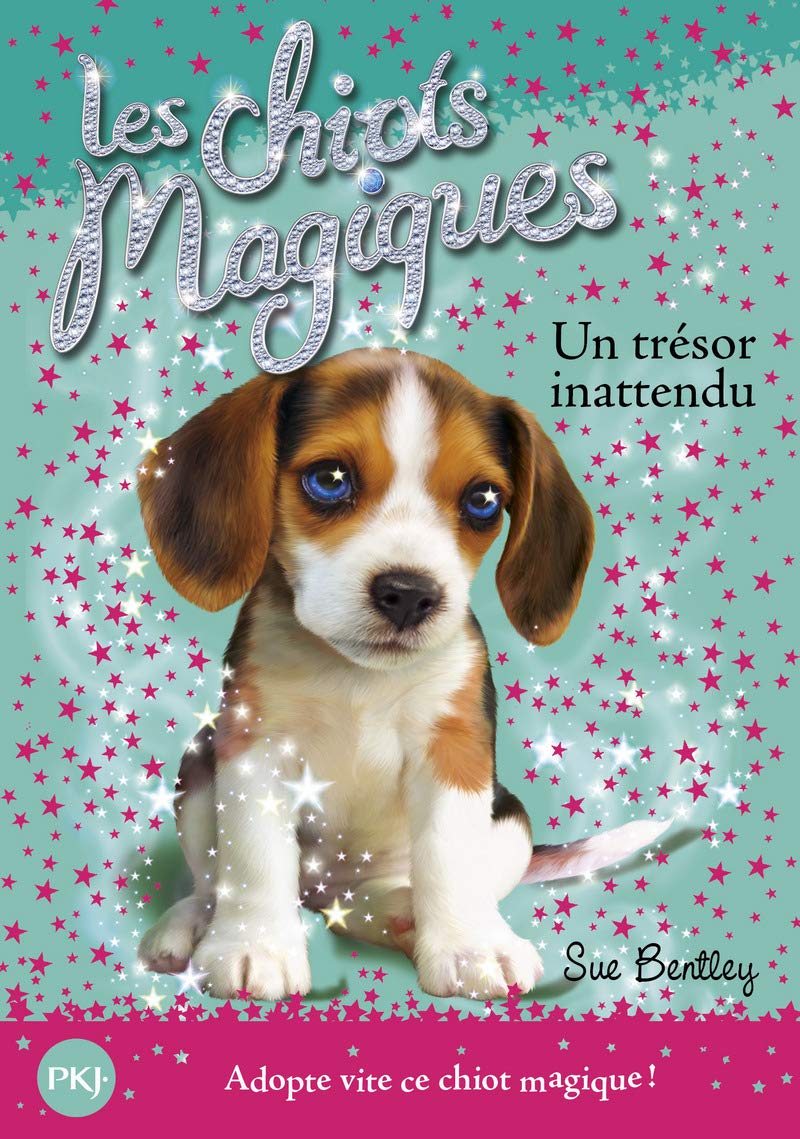 Les chiots magiques - tome 14 : Un trésor innatendu