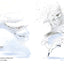 Le renard blanc