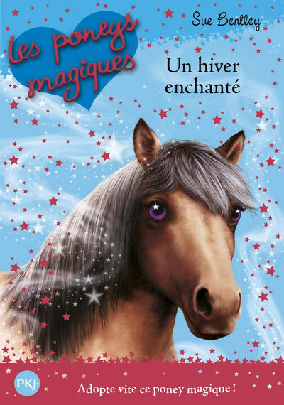 Les Poneys magiques - tome 07 : Un Hiver enchanté