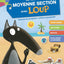 JE RENTRE EN MOYENNE SECTION AVEC LOUP - CAHIER DE VACANCES 2024