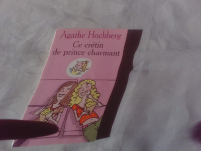 CE CRETIN DE PRINCE CHARMANT