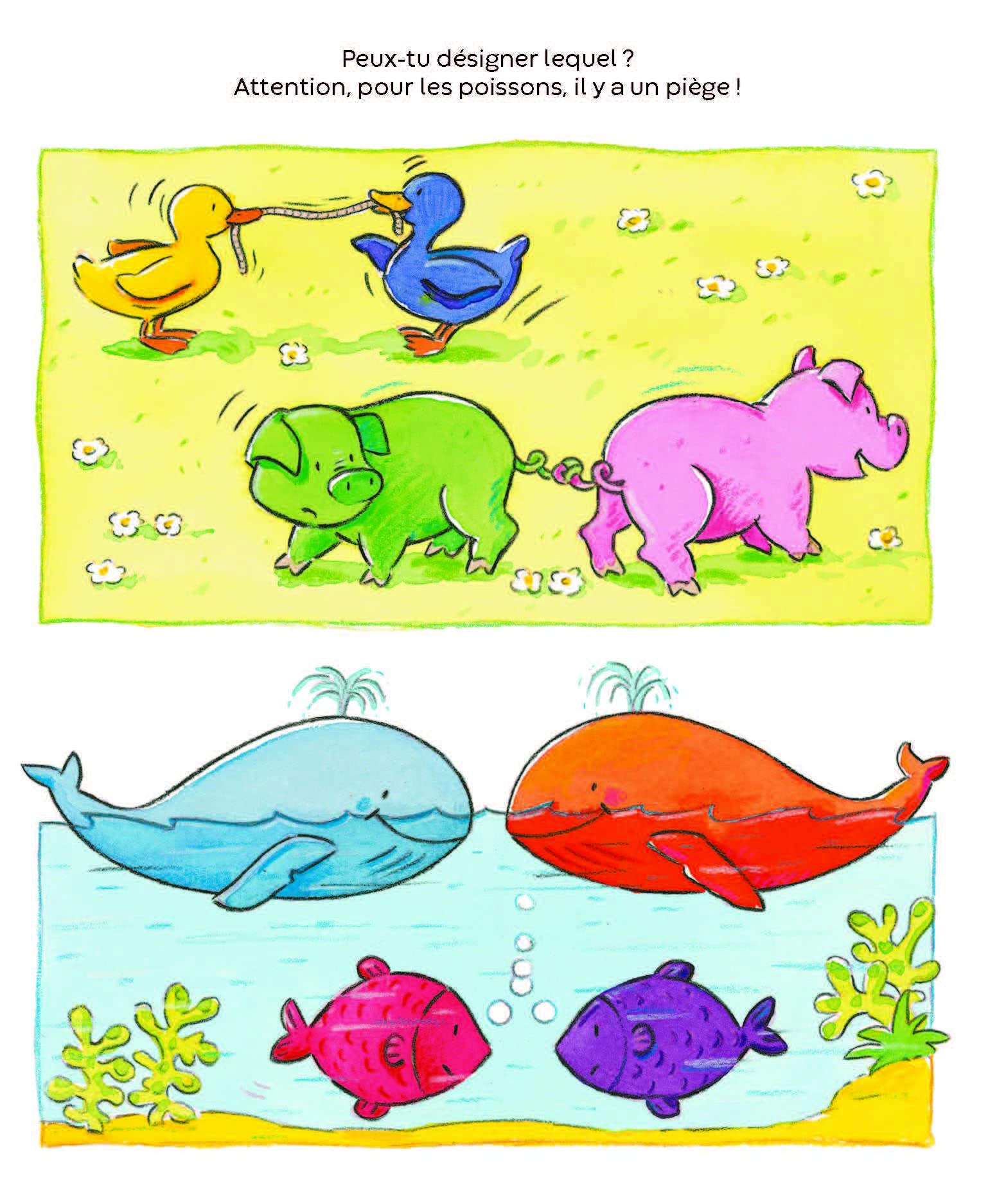 Les couleurs