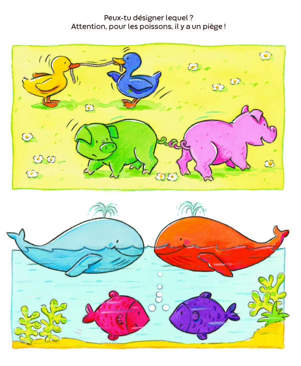 Les couleurs