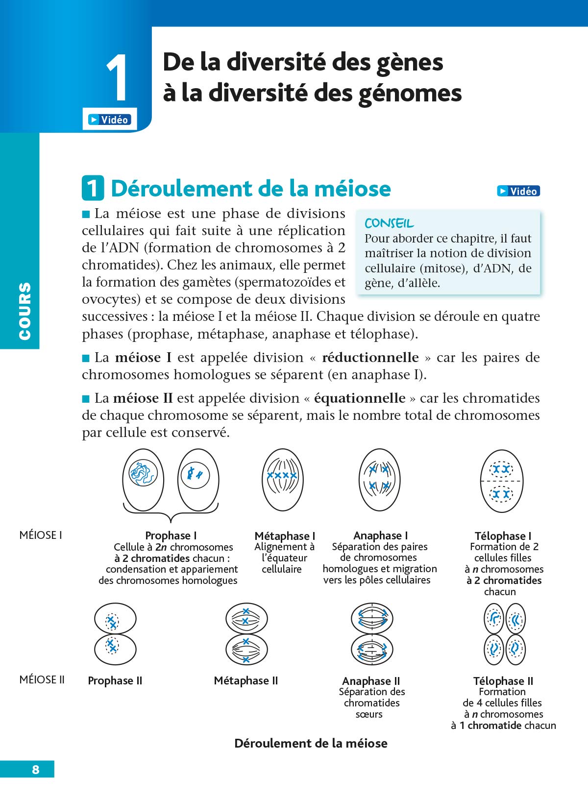 DéfiBac Cours/Méthodes/Exos SVT Terminale S (7)