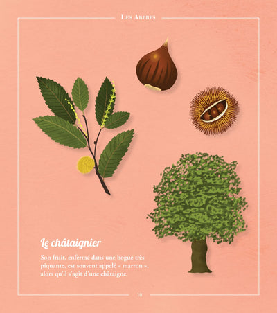 Beautés sauvages : flore