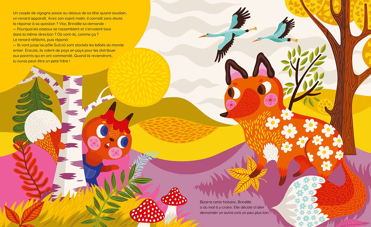 Les albums- Maman où vont les oiseaux- Dès 3 ans