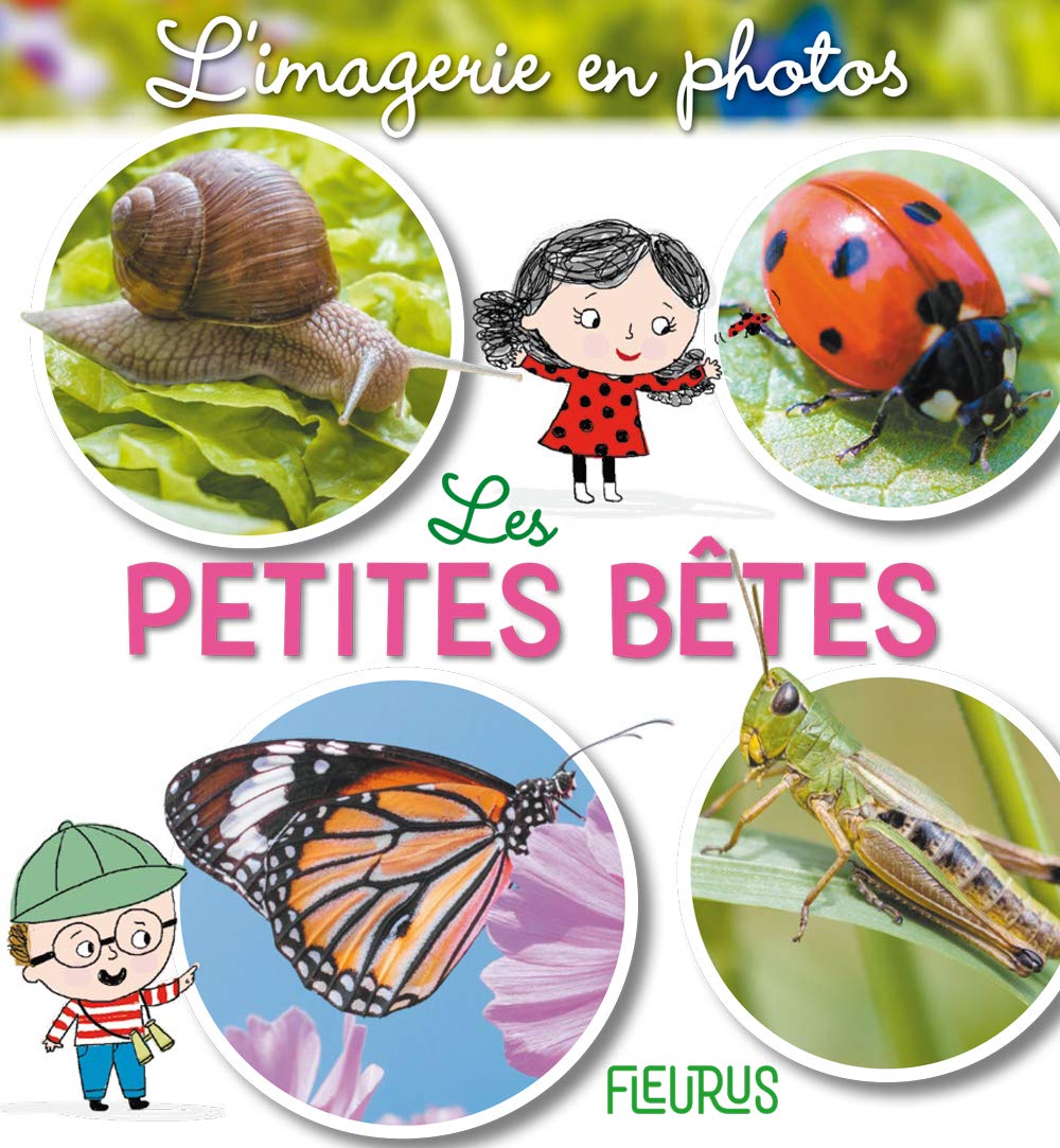 Les petites bêtes