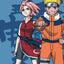 Carnet secret - Naruto