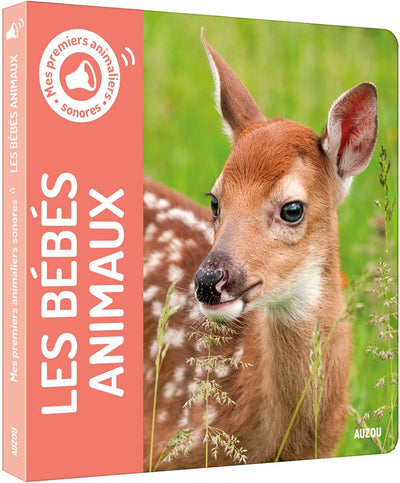 LES BÉBÉS ANIMAUX