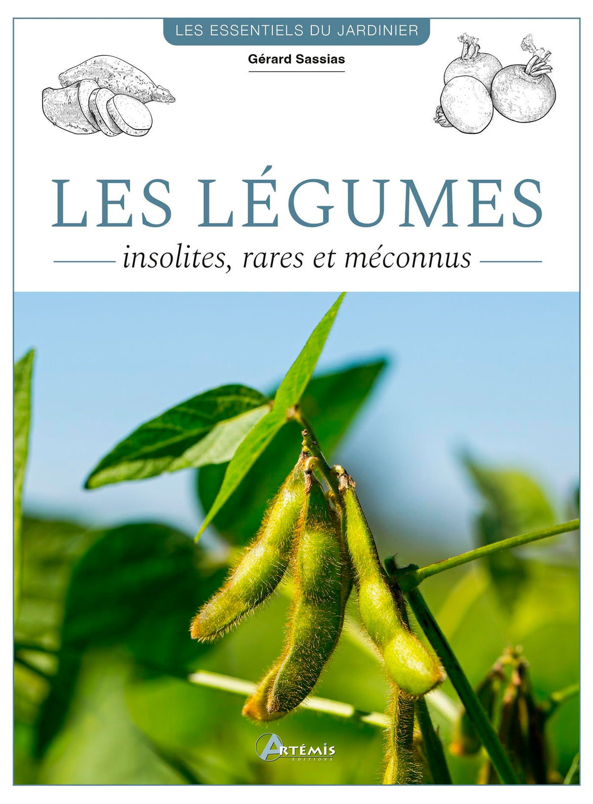 Les légumes insolites, rares et méconnus