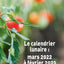 Réussir son potager avec la Lune 2022-2023