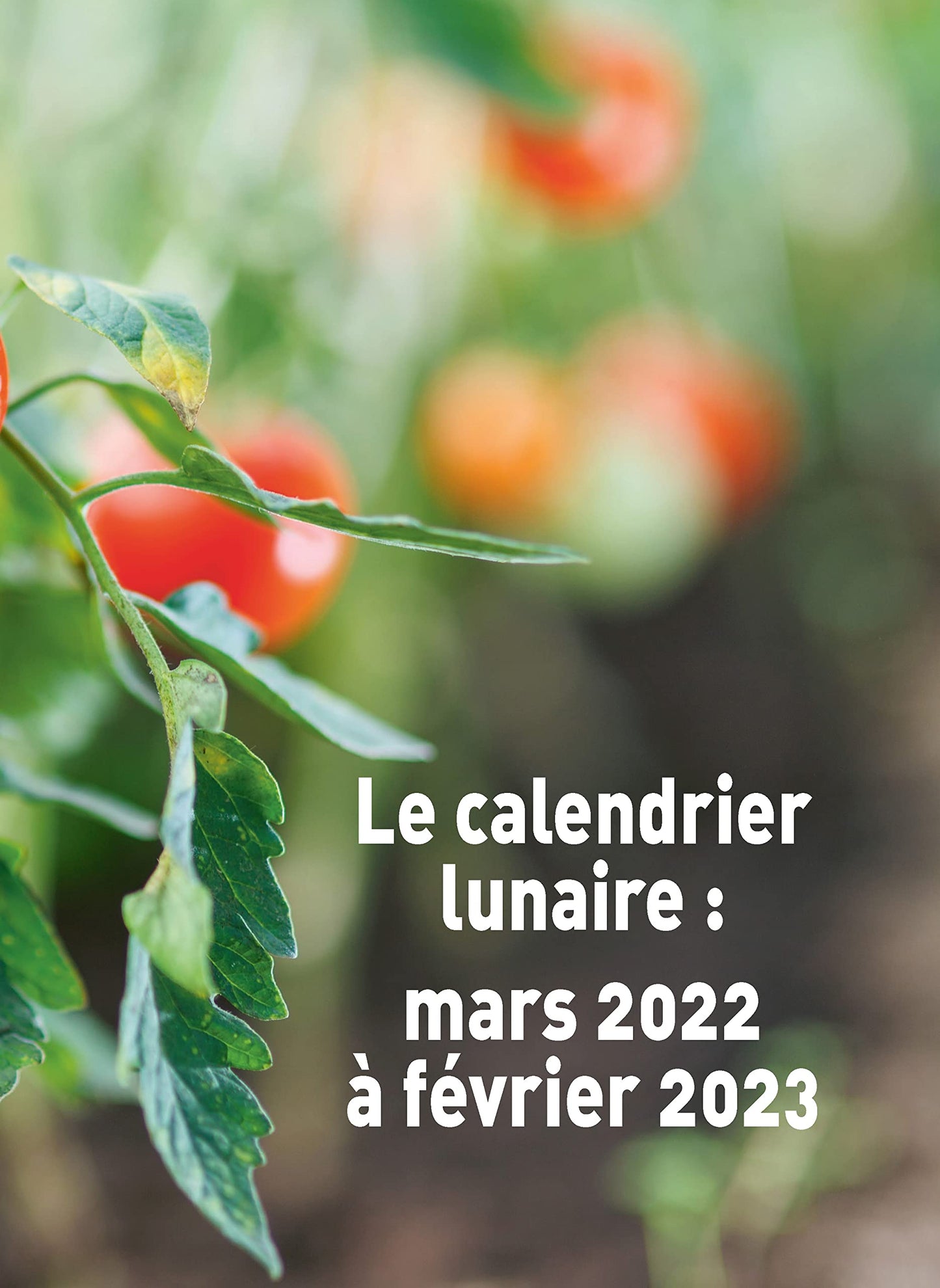 Réussir son potager avec la Lune 2022-2023