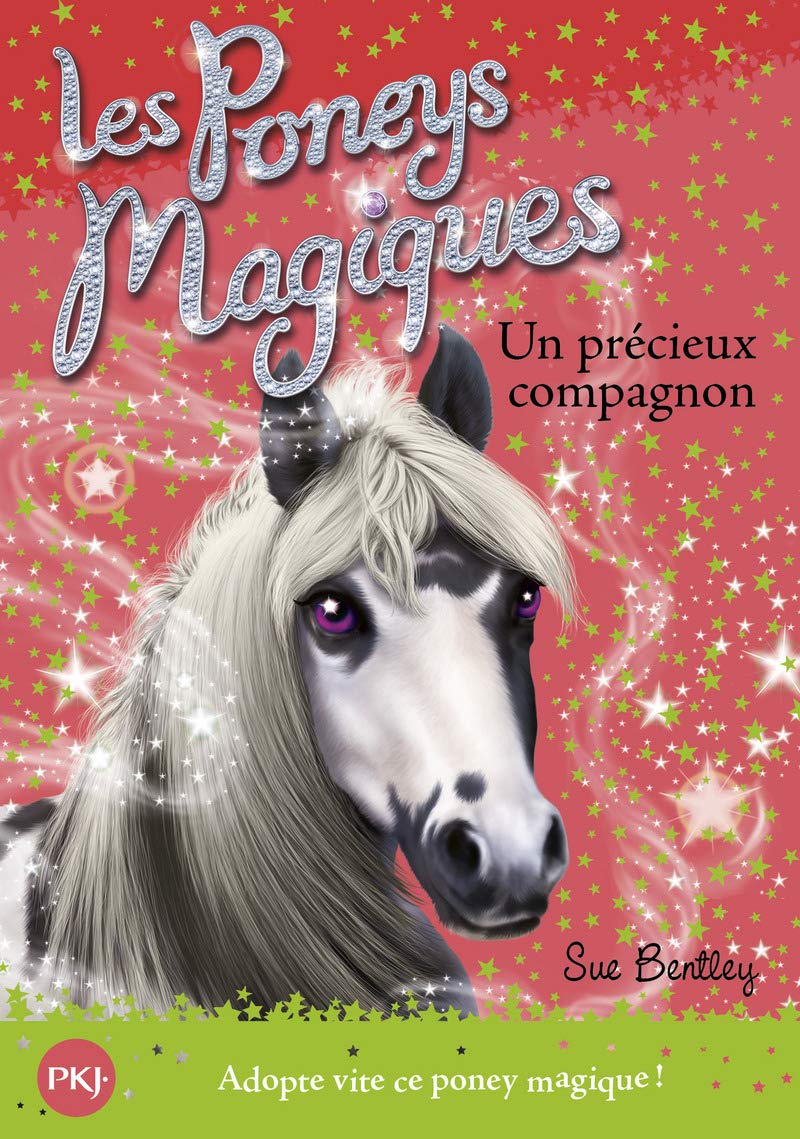 Les poneys magiques - tome 12 : Un précieux compagnon (12)