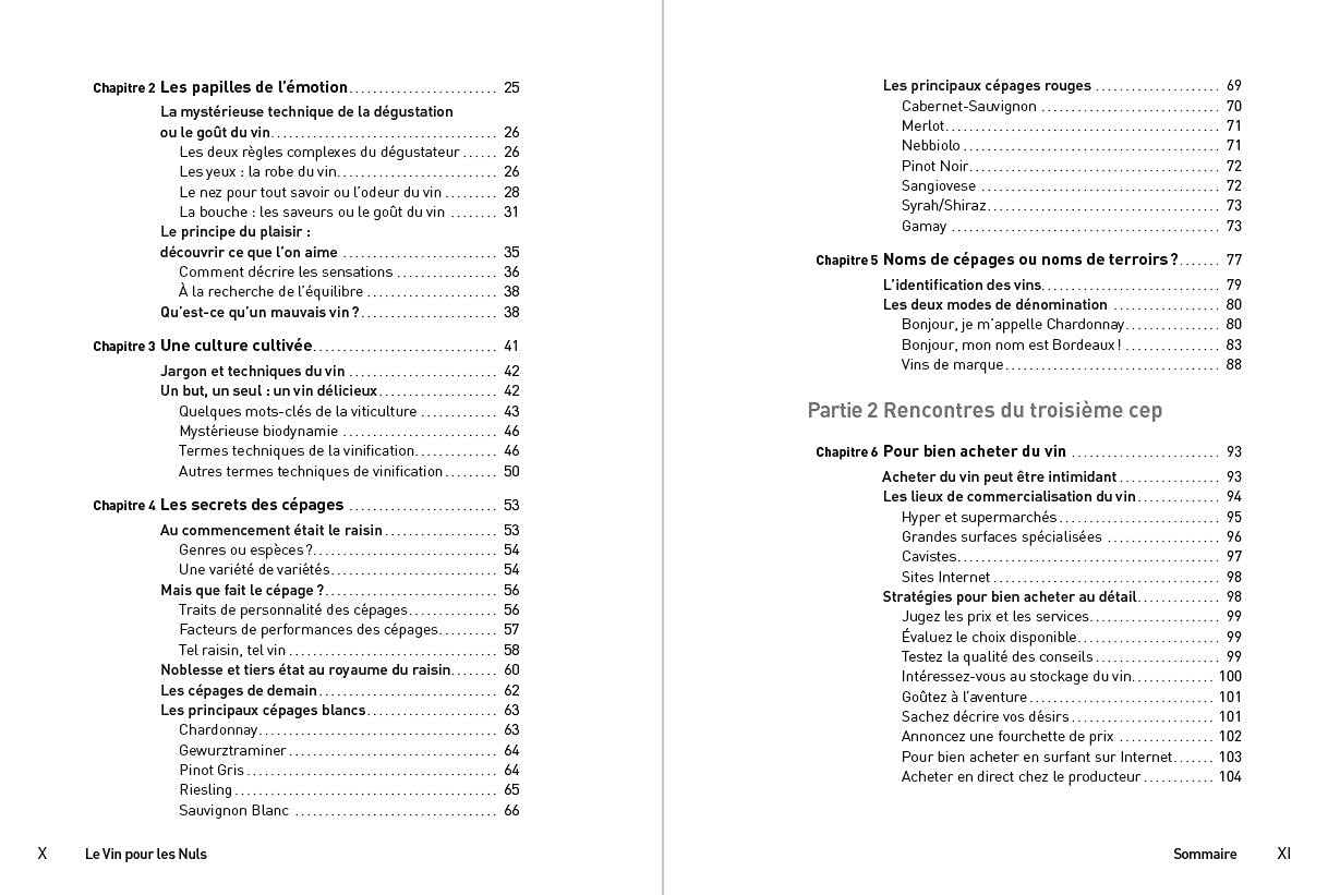 Le Vin Poche Pour les Nuls, 4e