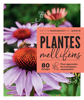 Plantes mellifères