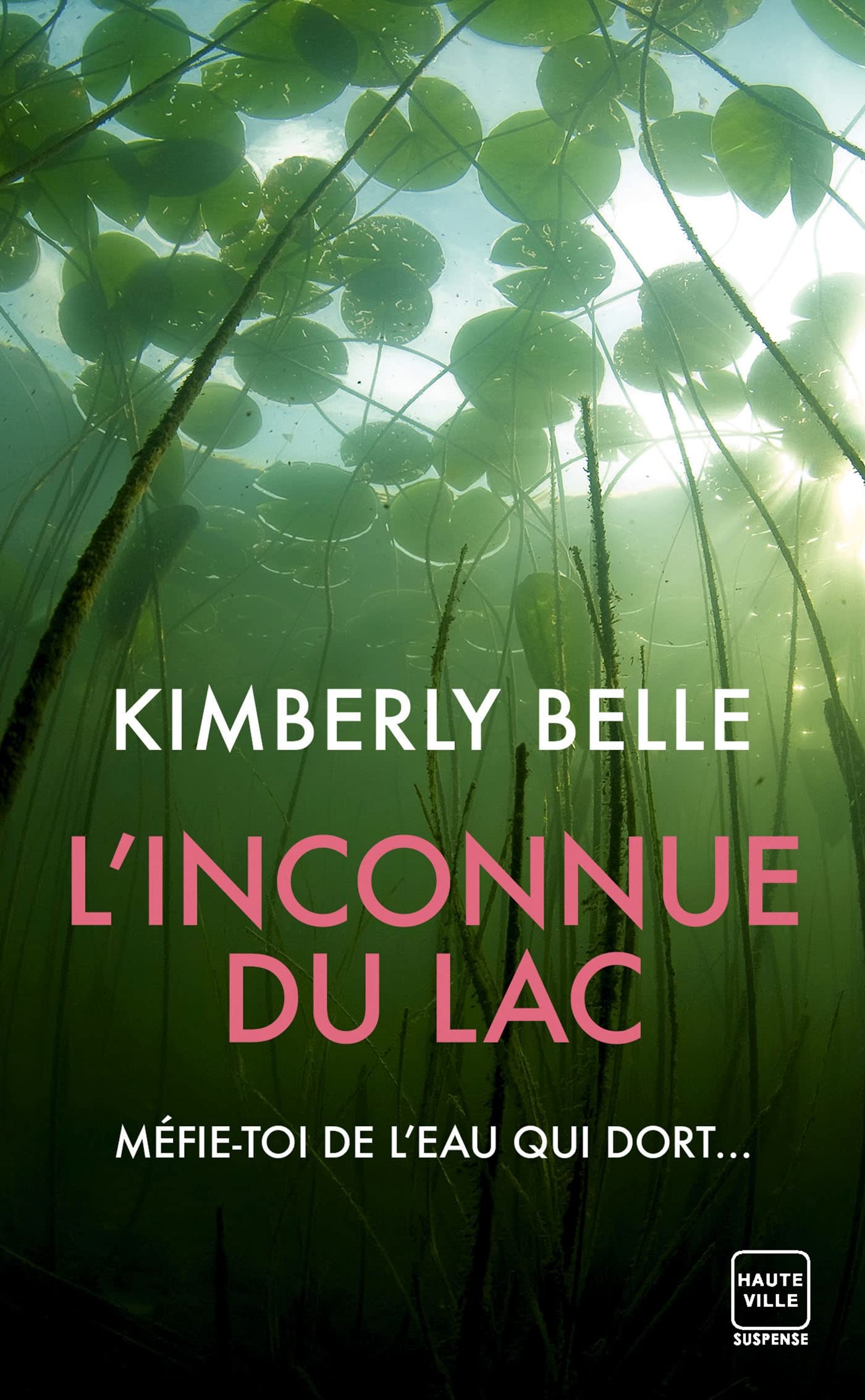 L'Inconnue du lac