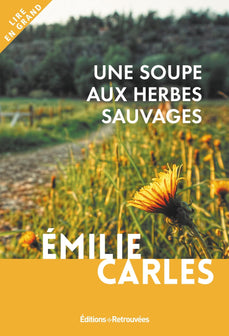 Une soupe aux herbes sauvages