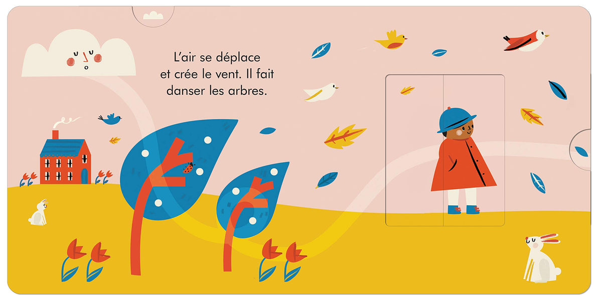 LA MÉTÉO (COLL. MON LIVRE À FENÊTRES SURPRISES )