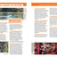 Guide Vert Lyon et sa region: Saint-Etienne, Vienne, Beaujolais, Forez, Dombes, Bugey