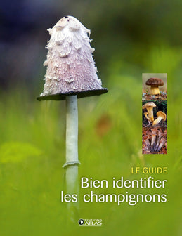 Bien identifier les champignons