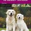GOLDEN RETRIEVER (LE)