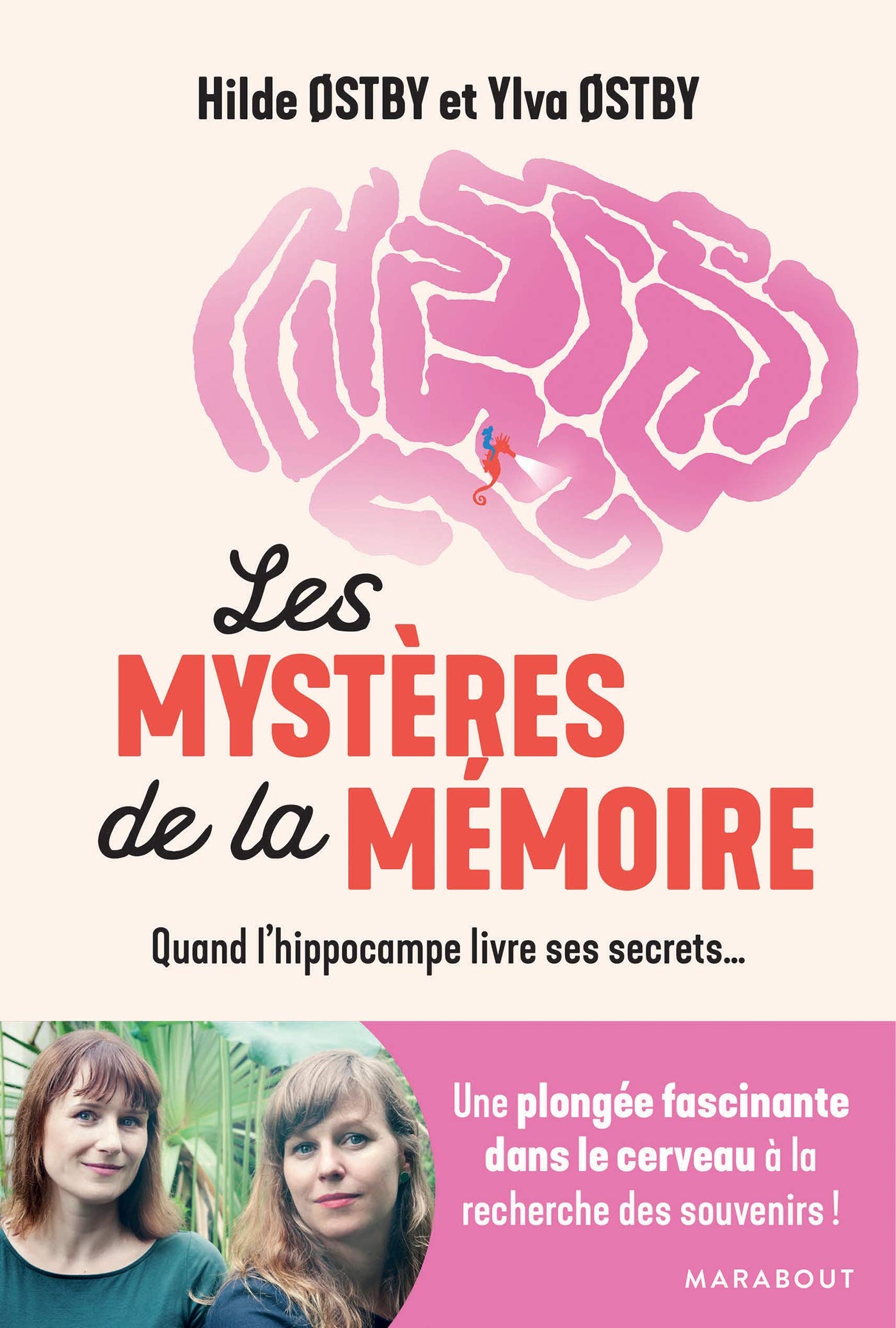 Les mystères de la mémoire: Quand l'hippocampe livre ses secrets...